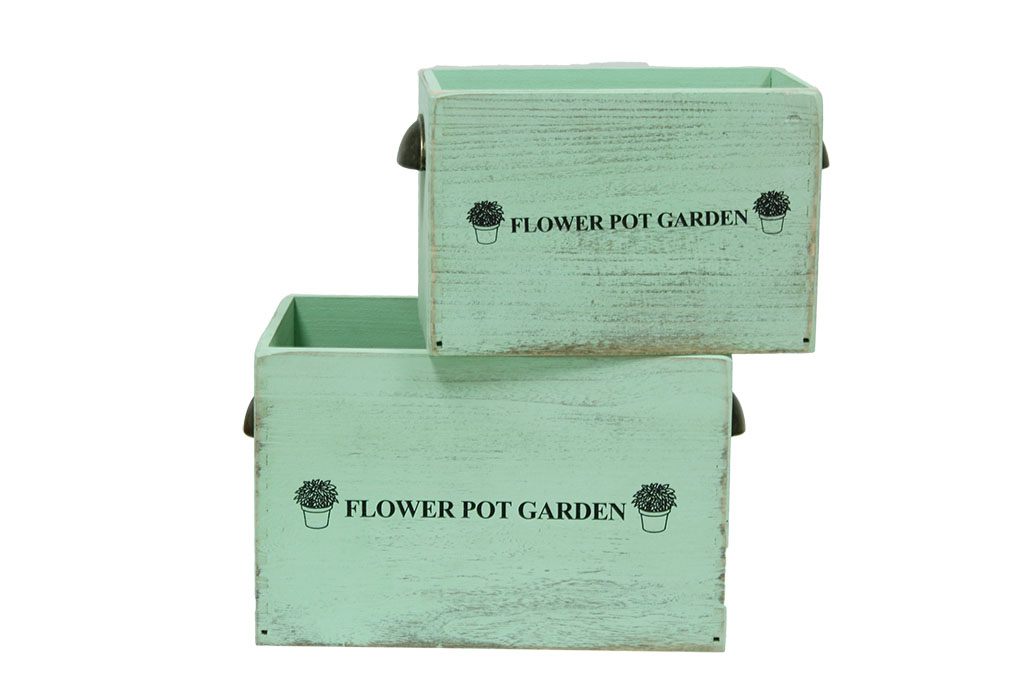 Caja flowers for garden