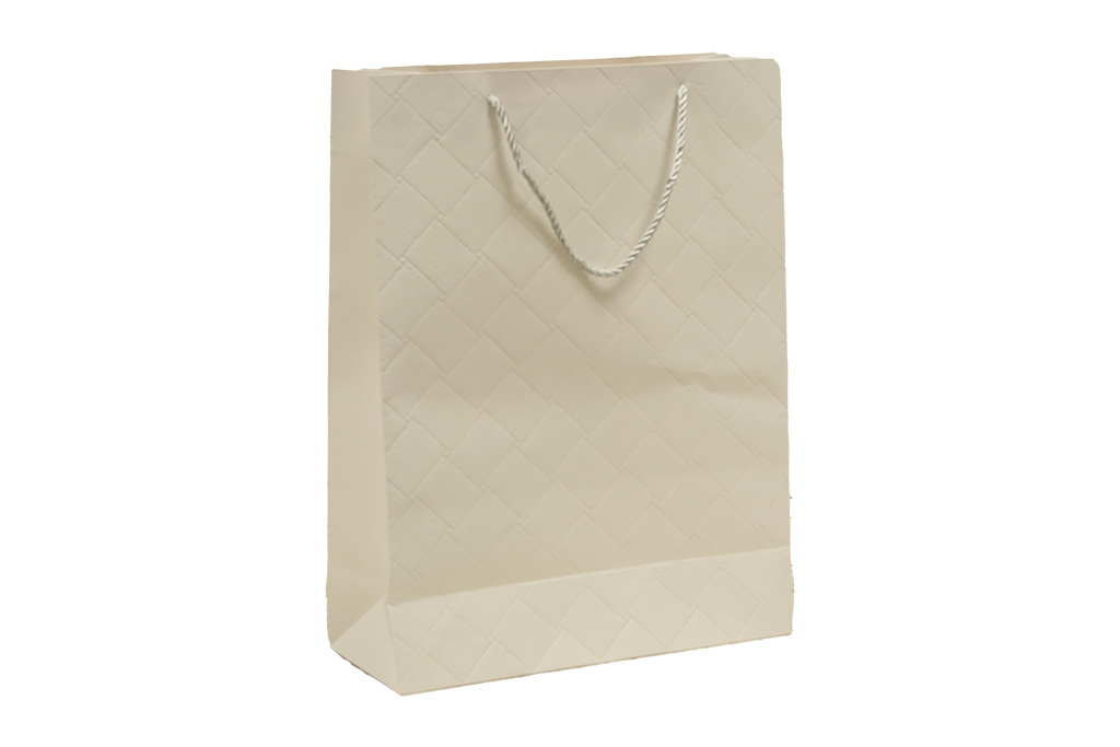 Bolsa de regalo blanca pequeña