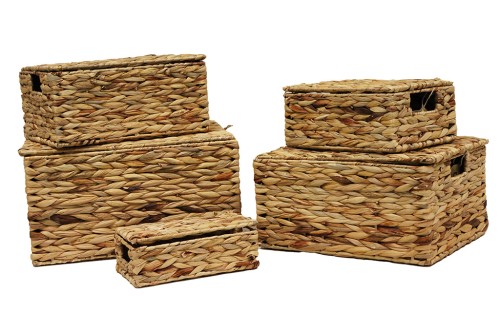 Coffret séquoia s/5