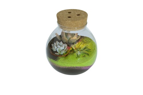 Terrario en envase de cristal con cubierta de corcho (planta incluida)