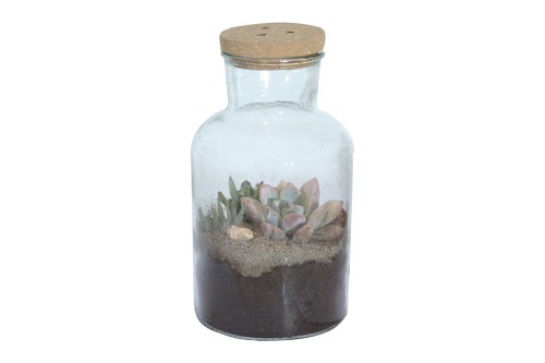 Terrario de cristal con cubierta de corcho (plantas inluidas)