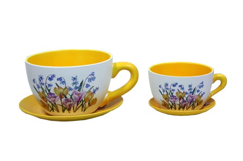 Macetero tazas tulipan