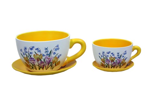 Macetero tazas tulipan s/2