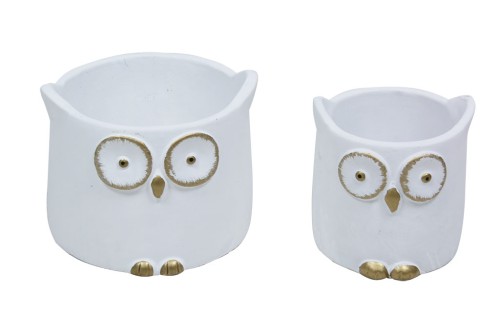 hibou blanc s/2