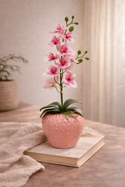 Pot en Céramique Orchidée Fuchsia