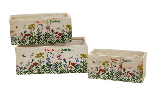 Macetero caja hello spring s/3