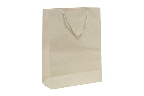 Bolsa de regalo blanca pequeña