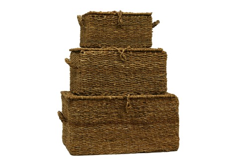 Coffre avec cadre en fer intérieur s/3