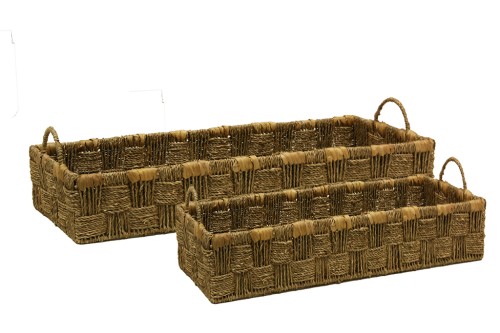 Bandejas seagrass s/2