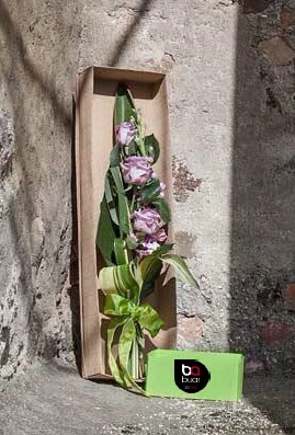Caja flores iriga
