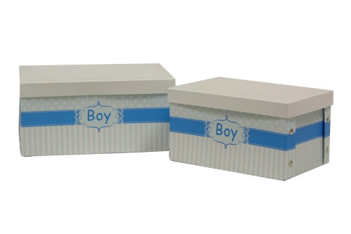 Cajas plegables boy (descoloridas) s/2
