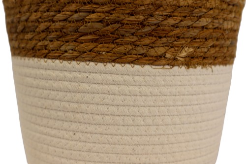 Maceta seagrass