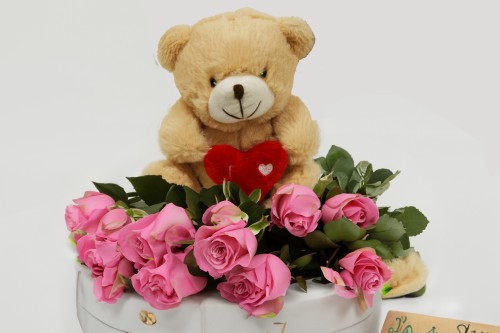 Peluche oso con corazon s/5