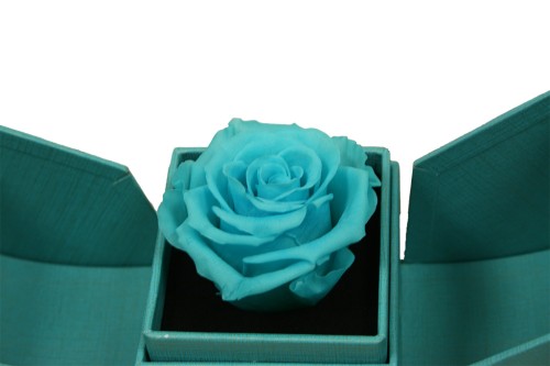 Cajita rosa eterna azul claro joyero sorpresa
