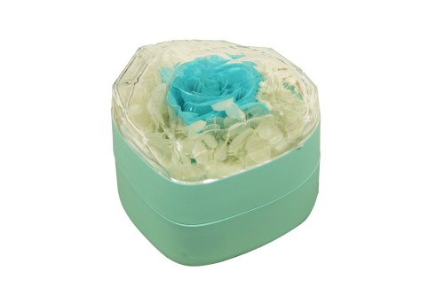 Cajita rosa eterna azul claro joyero con colgante