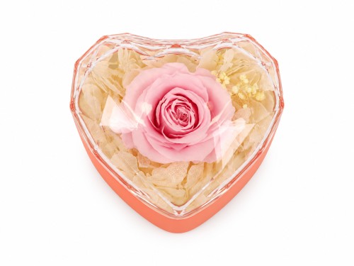 Cajita rosa eterna rosa joyero con colgante