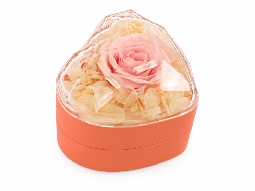 Eternal Pink Rose Jewelry Box with Pendant