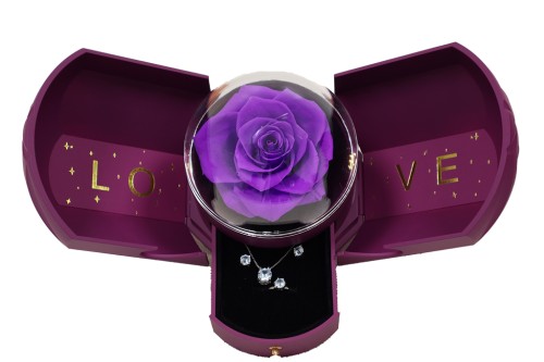 anillo